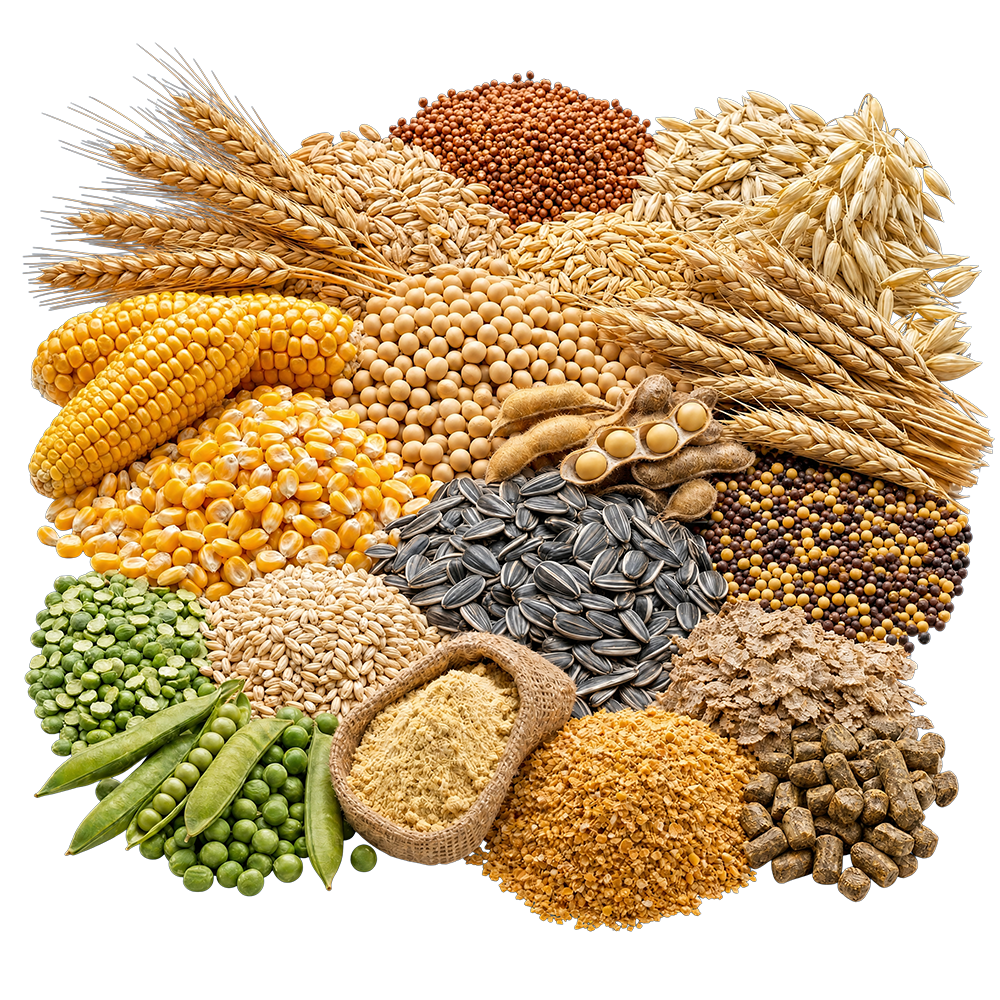 cereali e sementi